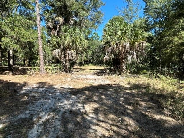 Land at 13707 W FOSS GROVES PATH, INGLIS, photo 29 of 39