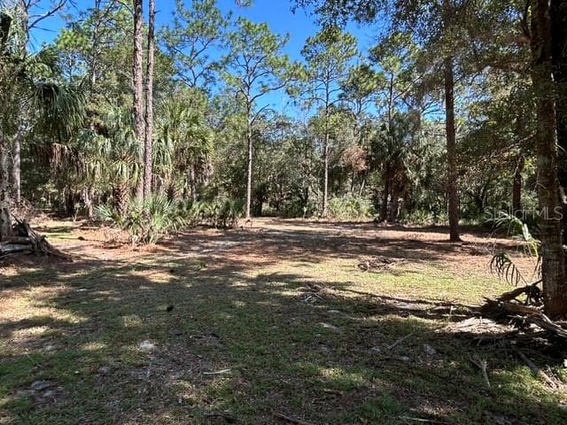 Land at 13707 W FOSS GROVES PATH, INGLIS, photo 30 of 39