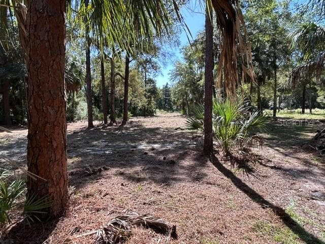 Land at 13707 W FOSS GROVES PATH, INGLIS, photo 31 of 39