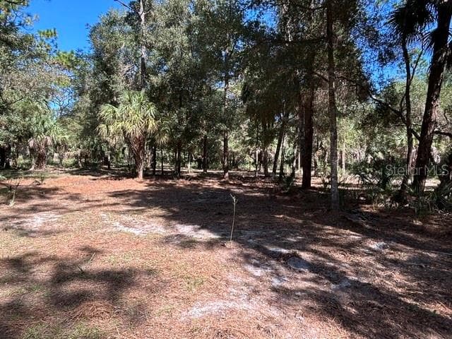 Land at 13707 W FOSS GROVES PATH, INGLIS, photo 32 of 39