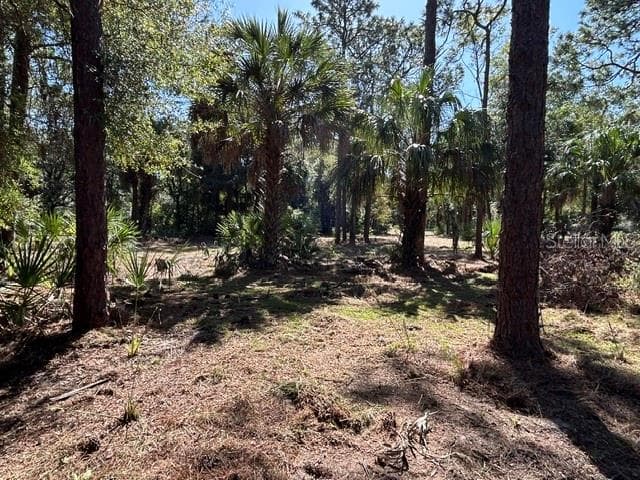 Land at 13707 W FOSS GROVES PATH, INGLIS, photo 33 of 39