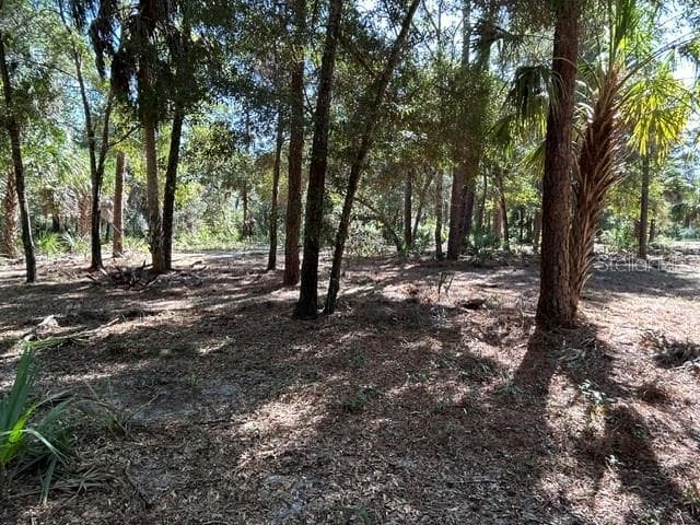 Land at 13707 W FOSS GROVES PATH, INGLIS, photo 35 of 39