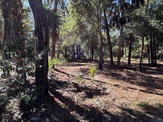 Land at 13707 W FOSS GROVES PATH, INGLIS, photo 37 of 39
