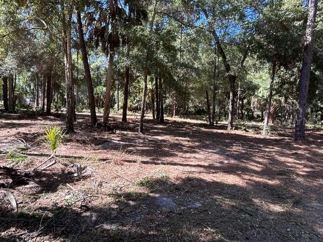 Land at 13707 W FOSS GROVES PATH, INGLIS, photo 38 of 39