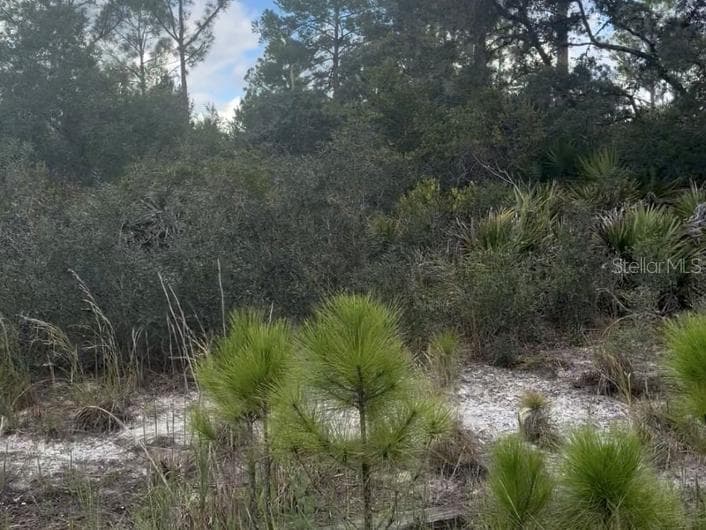 Land at 3513 TURIN ST, LAKE PLACID, photo 3 of 6