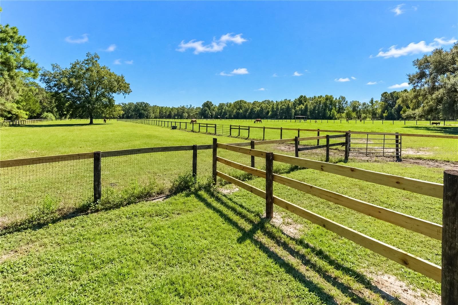 Farm at 9551 NW COUNTY ROAD 345, CHIEFLAND, photo 68 of 88
