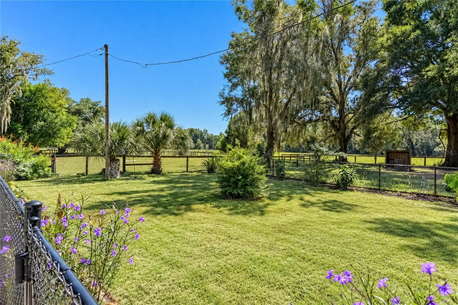 Farm at 9551 NW COUNTY ROAD 345, CHIEFLAND, photo 71 of 88