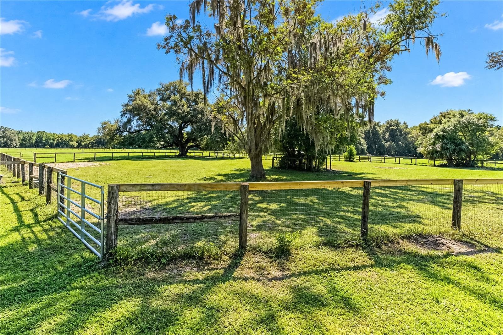 Farm at 9551 NW COUNTY ROAD 345, CHIEFLAND, photo 73 of 88