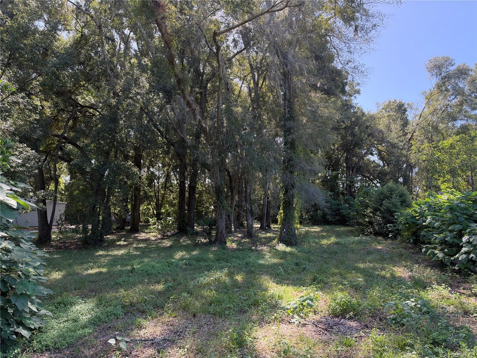 Land at TBD W SILVER SPRINGS BLVD, OCALA, photo 12 of 13