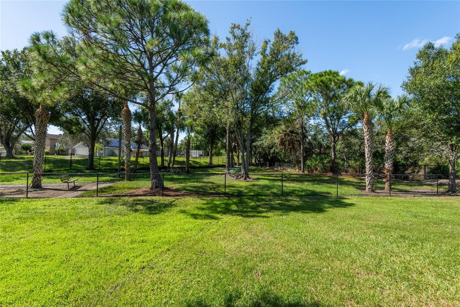 Community Dog Park - 10274 OASIS PALM DR, TAMPA