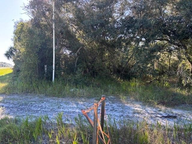 right-hand side of property - 7450 SW STATE ROAD 24, CEDAR KEY
