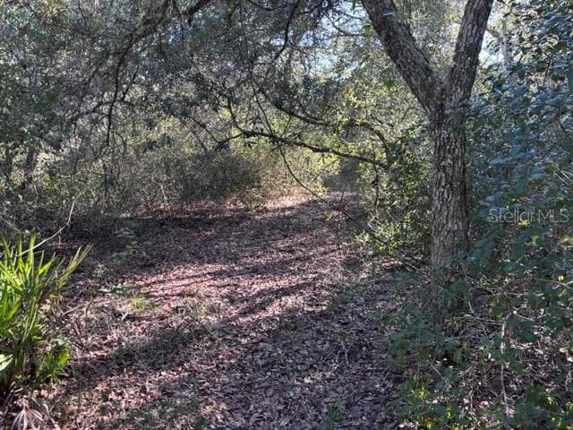 path takes you to interior of property - 7450 SW STATE ROAD 24, CEDAR KEY