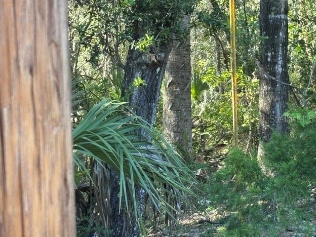 electric pole at left-hand side - 7450 SW STATE ROAD 24, CEDAR KEY