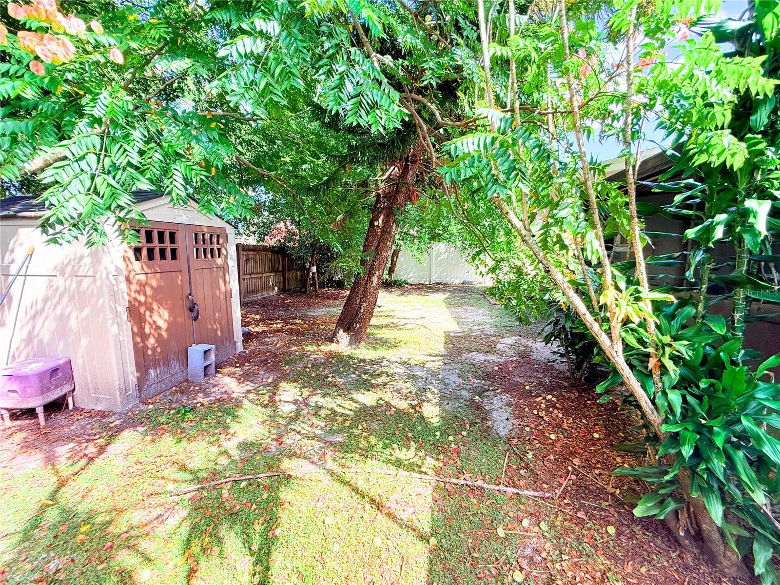 Side Backyard - 102 GLEN RIDGE AVE, TEMPLE TERRACE