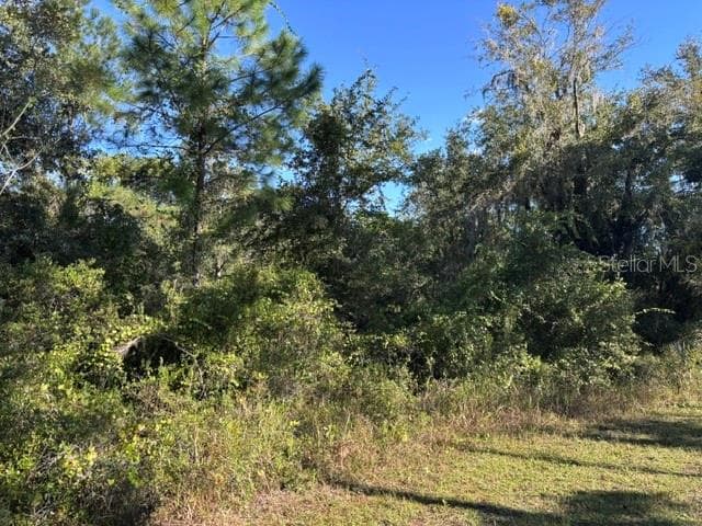 1.28 acres - Lot 6 SW 105 AVE, CEDAR KEY