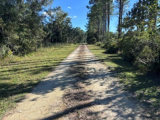 SW 105 Ave infrequently traveled - Lot 6 SW 105 AVE, CEDAR KEY