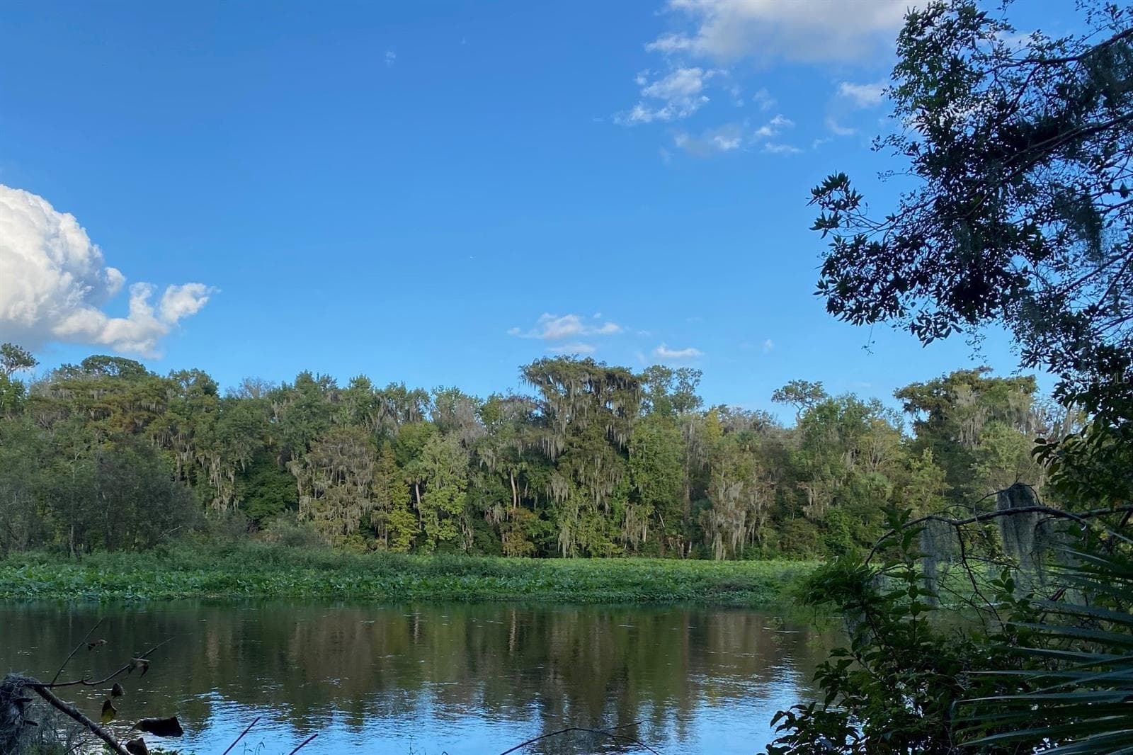 Wekiva River access - 31026 NOCATEE TRL, SORRENTO