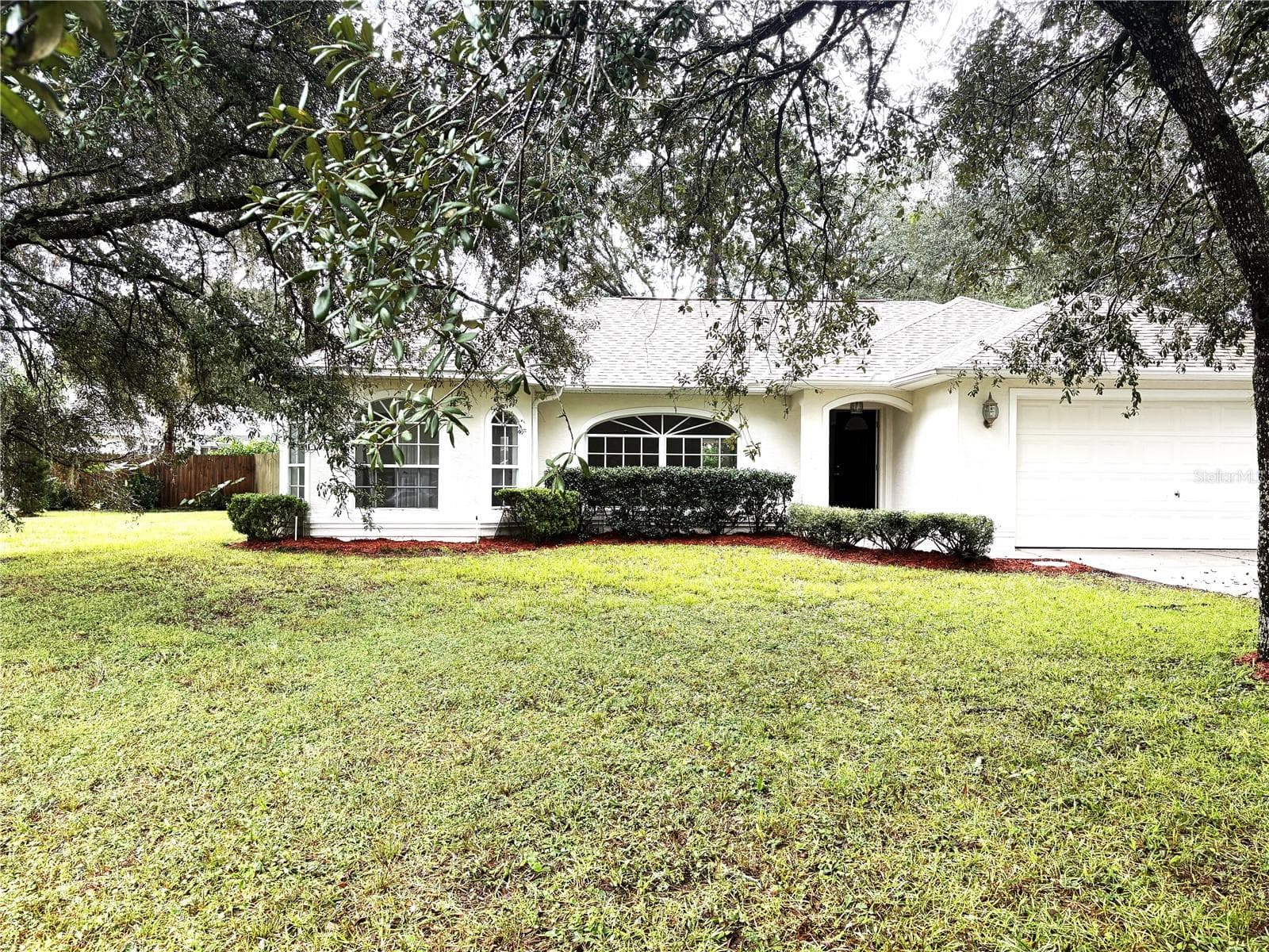 Side and front yards - 8919 N MENDOZA WAY, CITRUS SPRINGS