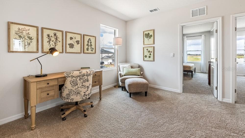 Single Family Residence at 17839 WHEAT STACK CT, PARRISH, photo 10 of 29