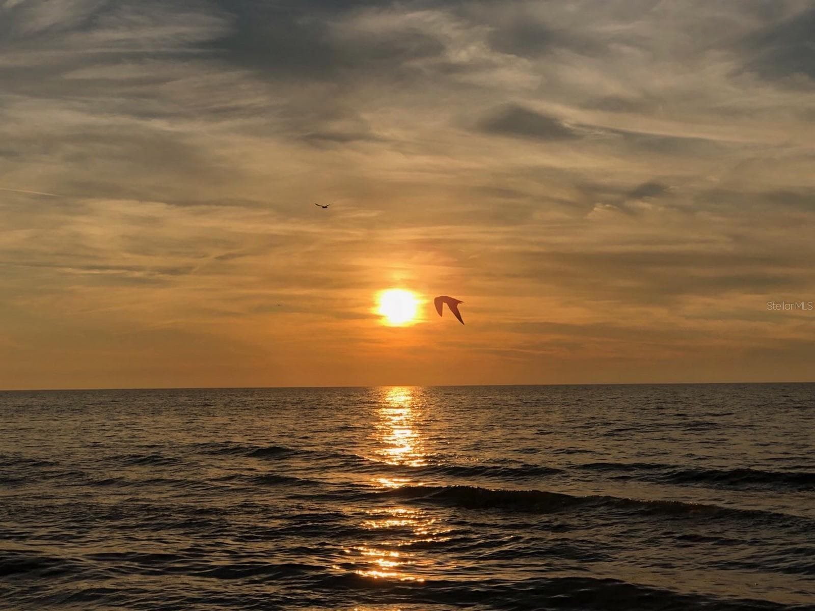 Area Beaches - 215 VALENCIA BLVD #309, BELLEAIR BLUFFS