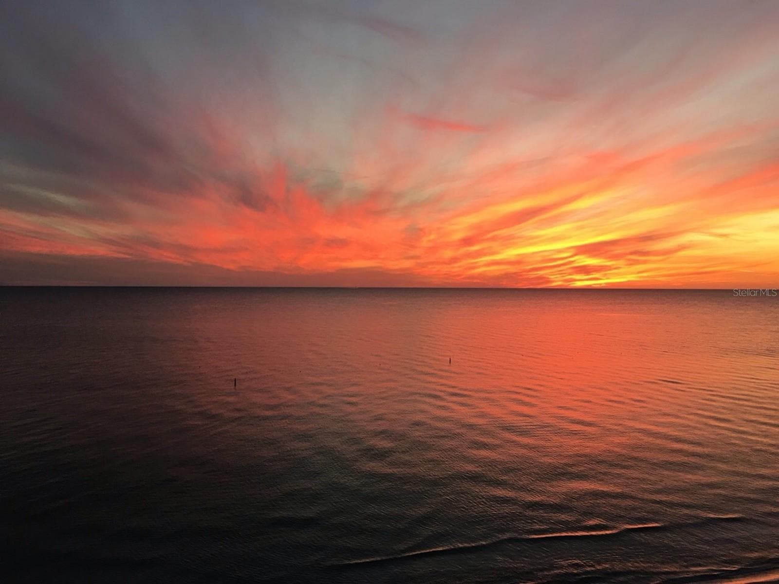 Area Beaches - 215 VALENCIA BLVD #309, BELLEAIR BLUFFS