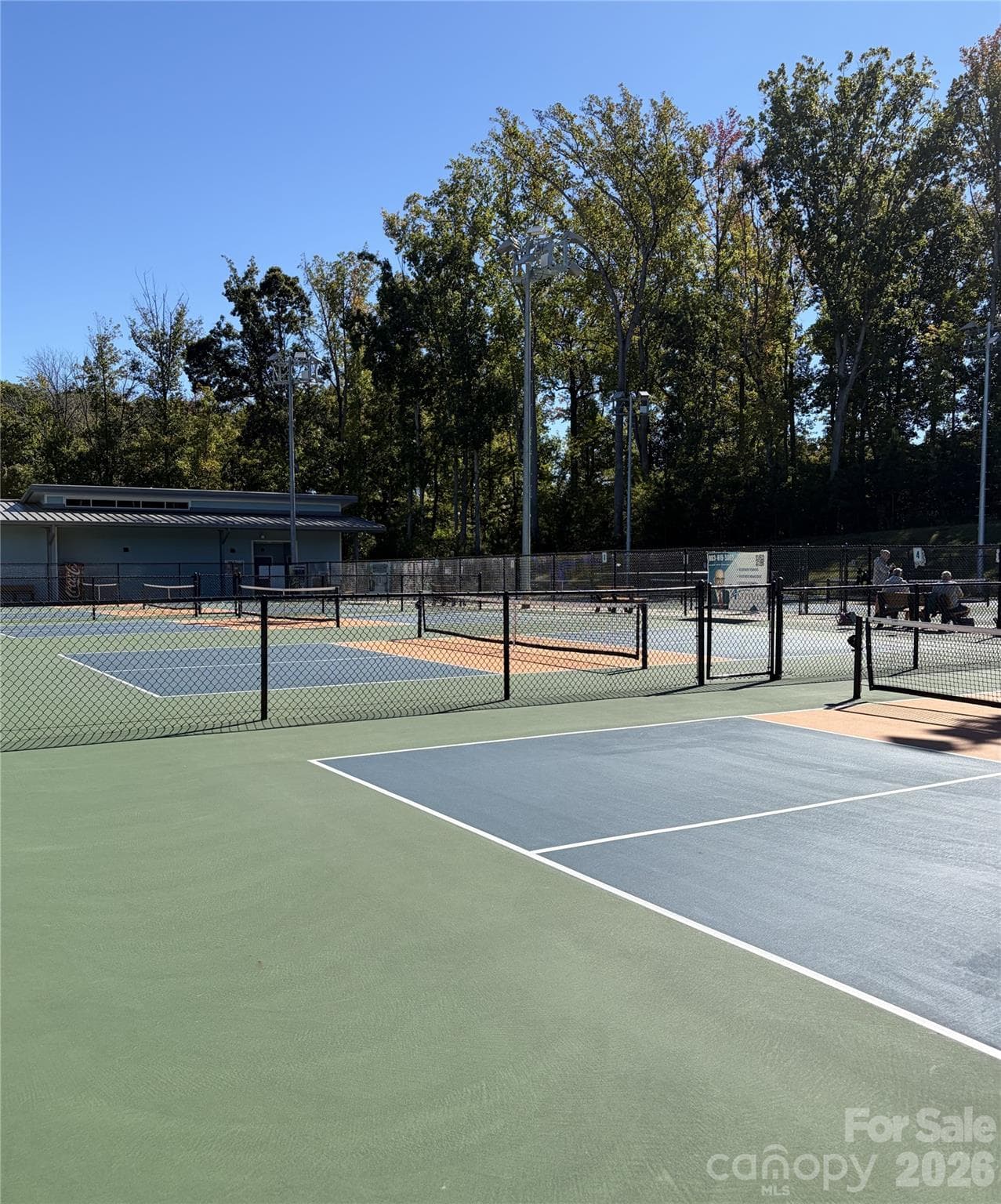 Field Day Park has 12 pickleball courts. - 578 Daventry Court, Clover