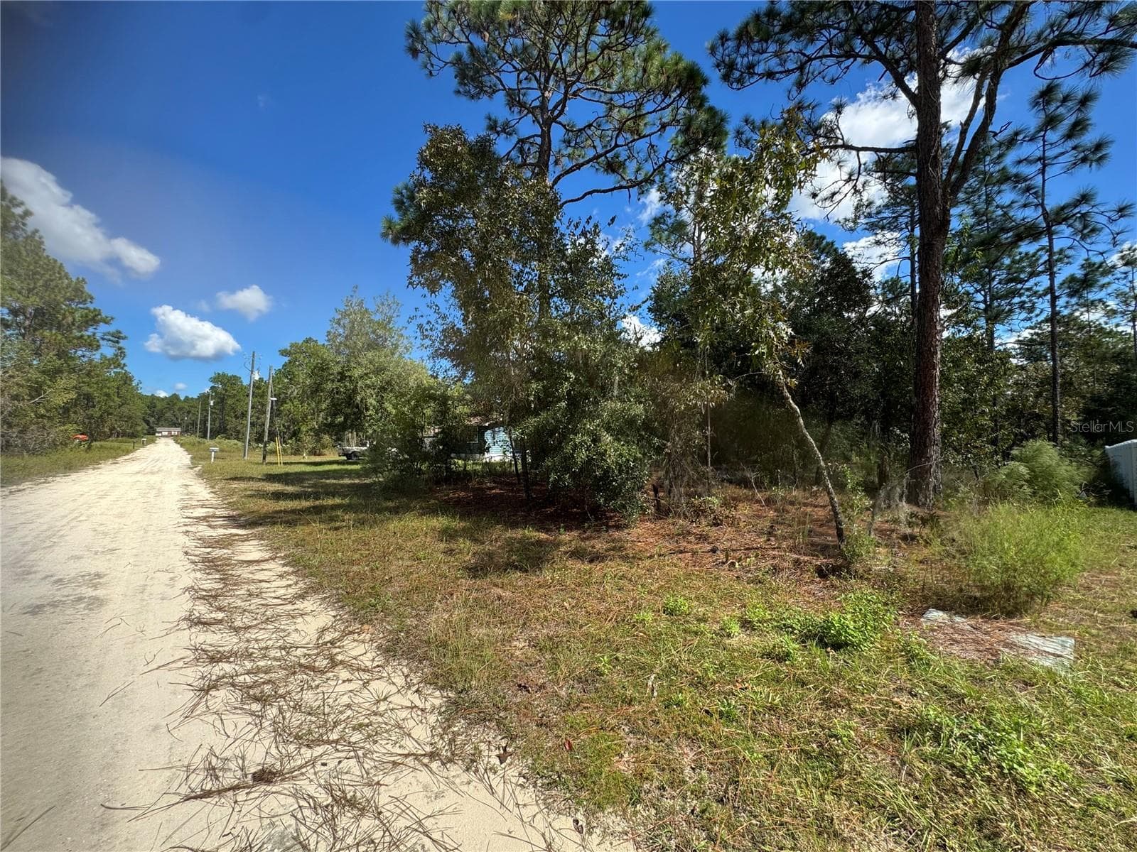 Single Family Residence at 2615 SW 157TH CT, OCALA, photo 63 of 67