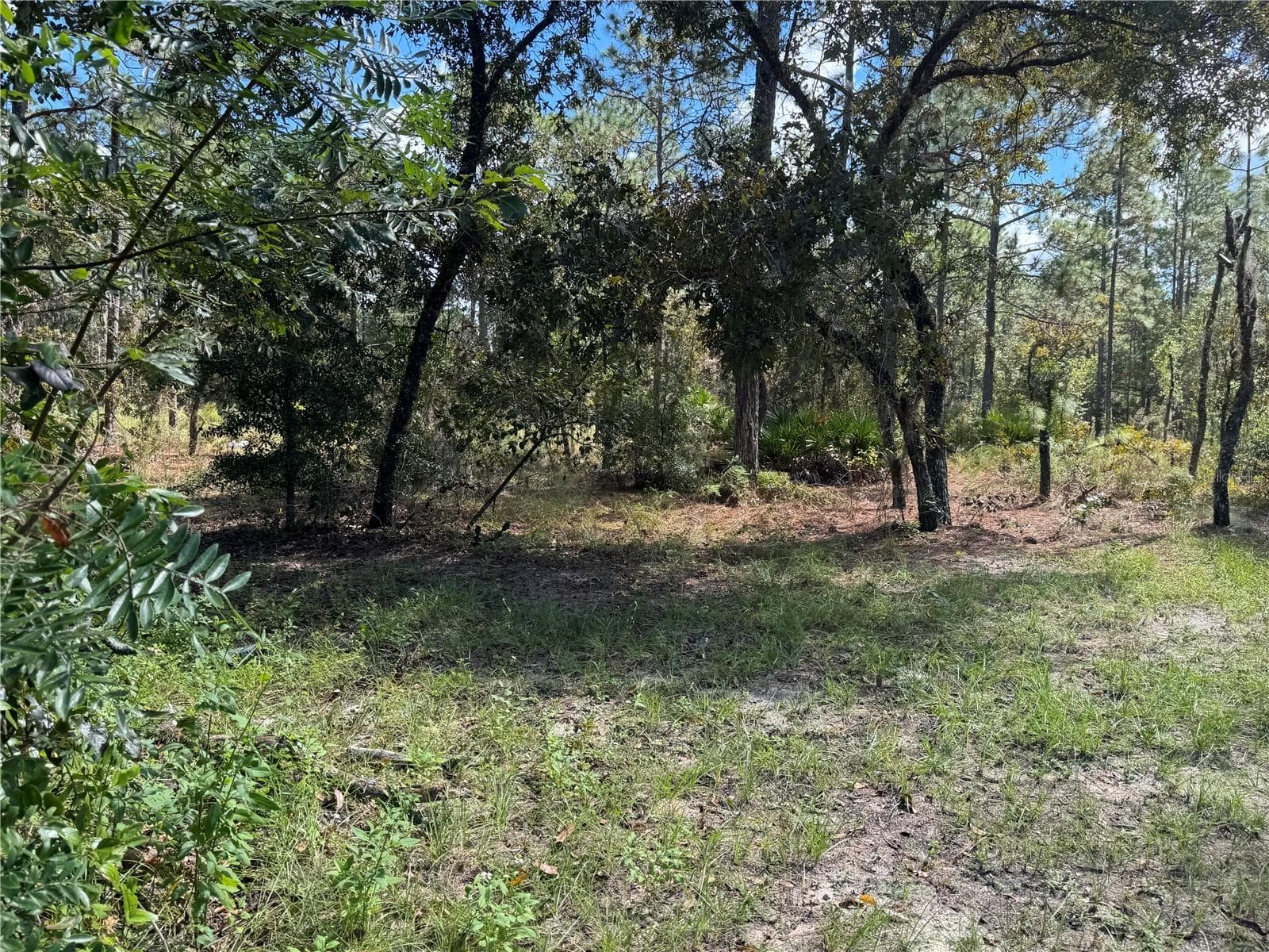 Single Family Residence at 2615 SW 157TH CT, OCALA, photo 65 of 67