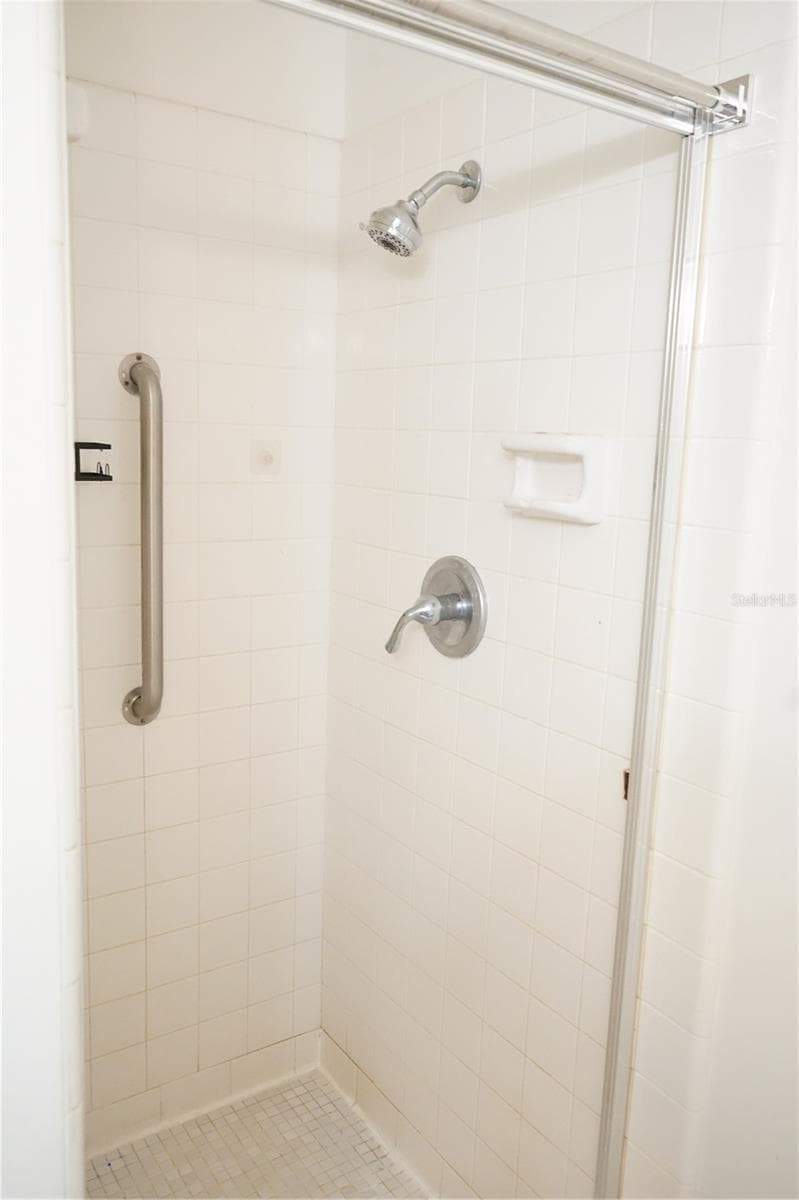 walk in shower - 703 HUXLEY PL, SUN CITY CENTER