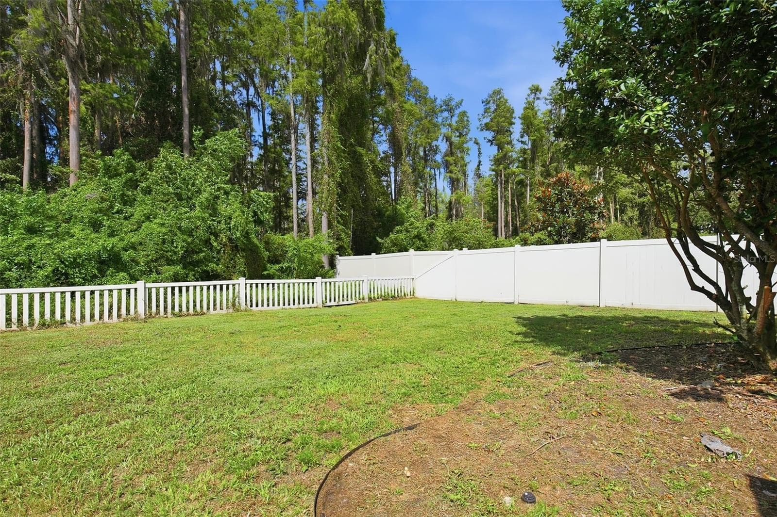 Single Family Residence at 7627 BLUE SPRING DR, LAND O LAKES, photo 34 of 46