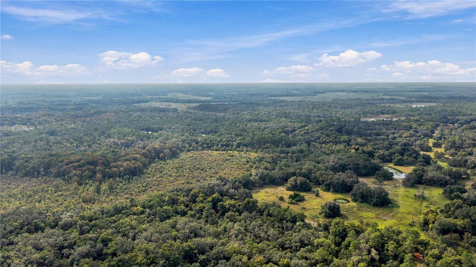 Land at 10425 E MOCCASIN SLOUGH RD, INVERNESS, photo 13 of 19