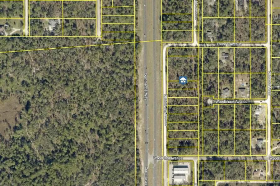 Land at LOT 5 NICASIO JAY AVE, WEEKI WACHEE, photo 2 of 4