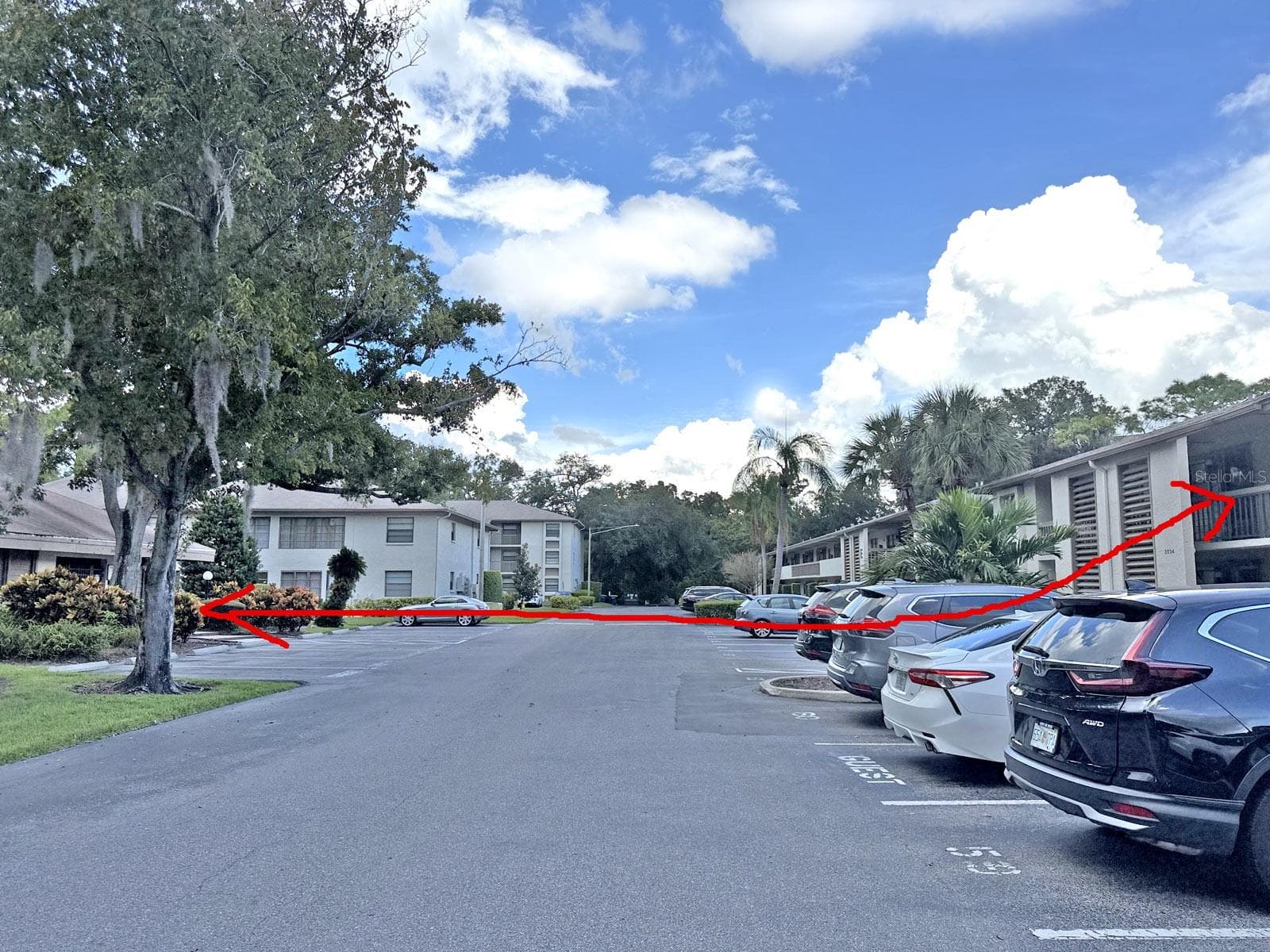 Pool just cross the street. - 3034 EASTLAND BLVD #D202, CLEARWATER