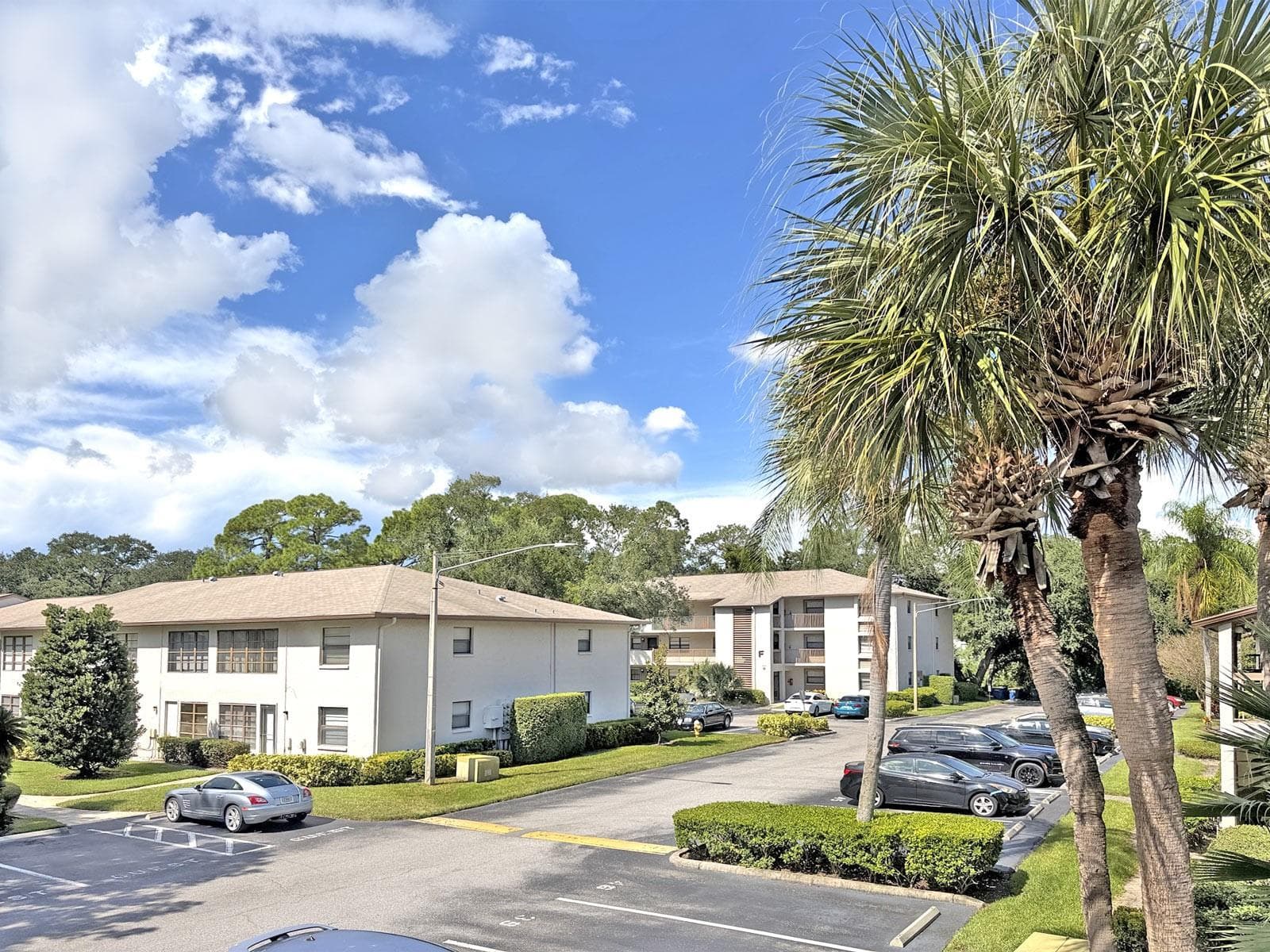 View from the front door. - 3034 EASTLAND BLVD #D202, CLEARWATER