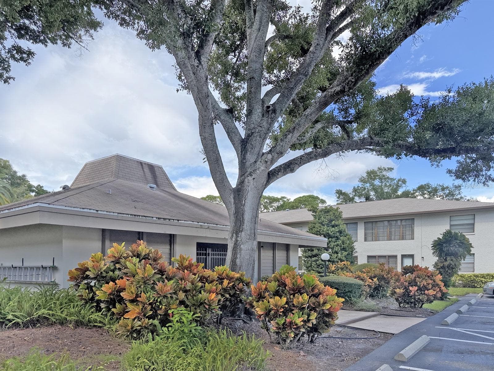 Clubhouse / Pool - 3034 EASTLAND BLVD #D202, CLEARWATER