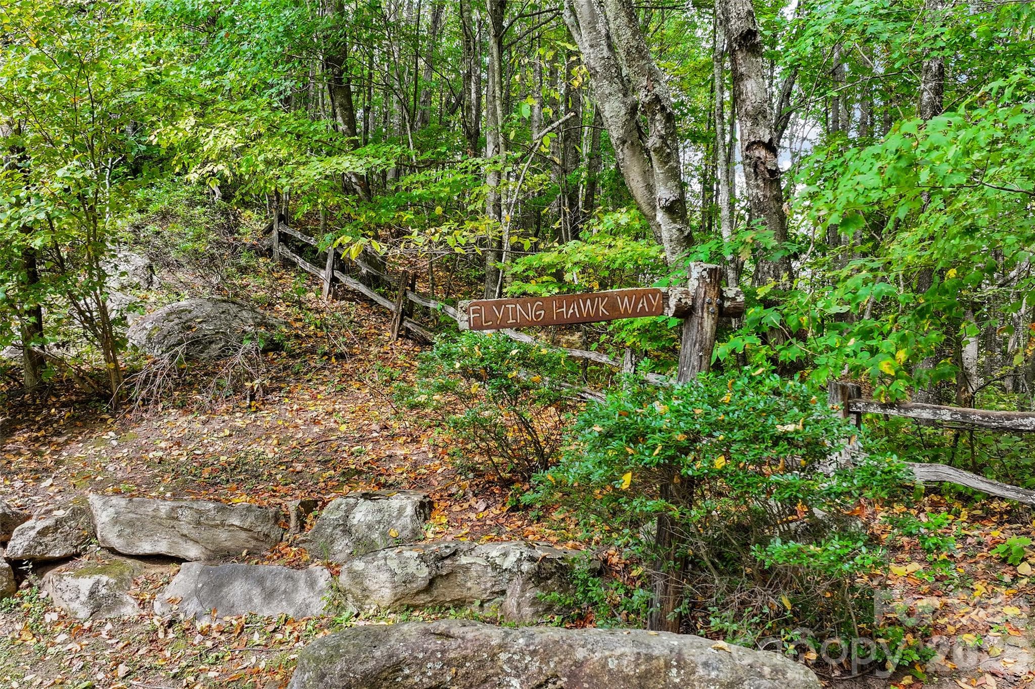 Lot at 45 Smoke Vine Trail, Clyde, photo 18 of 34