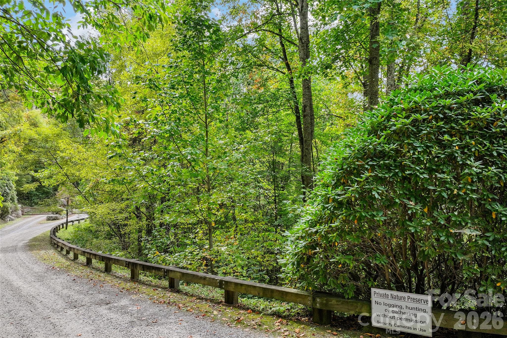 Lot at 45 Smoke Vine Trail, Clyde, photo 19 of 34