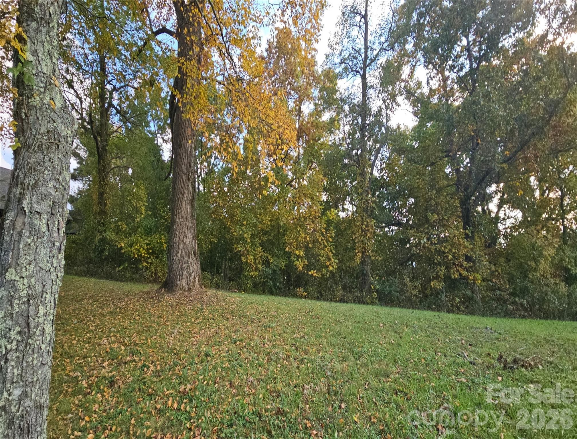 Lot at 56 N Snow Ridge Drive, Hendersonville, photo 2 of 10