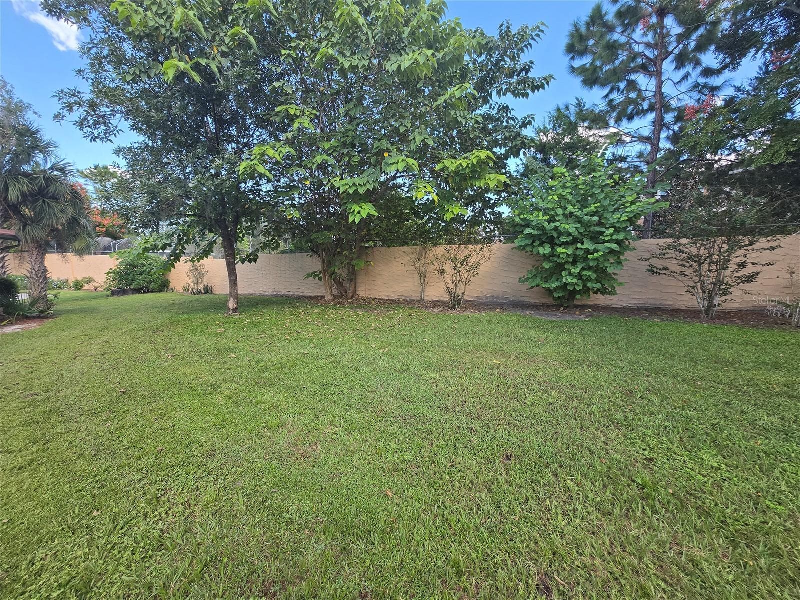 Back yard - 35 VILLA VILLAR CT #350, DELAND