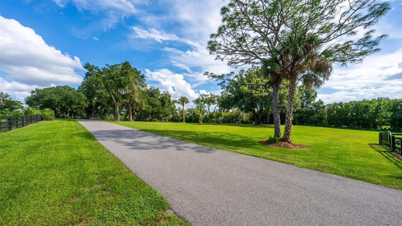 Land at TBD CLAYTON ST, MOUNT DORA, photo 25 of 30