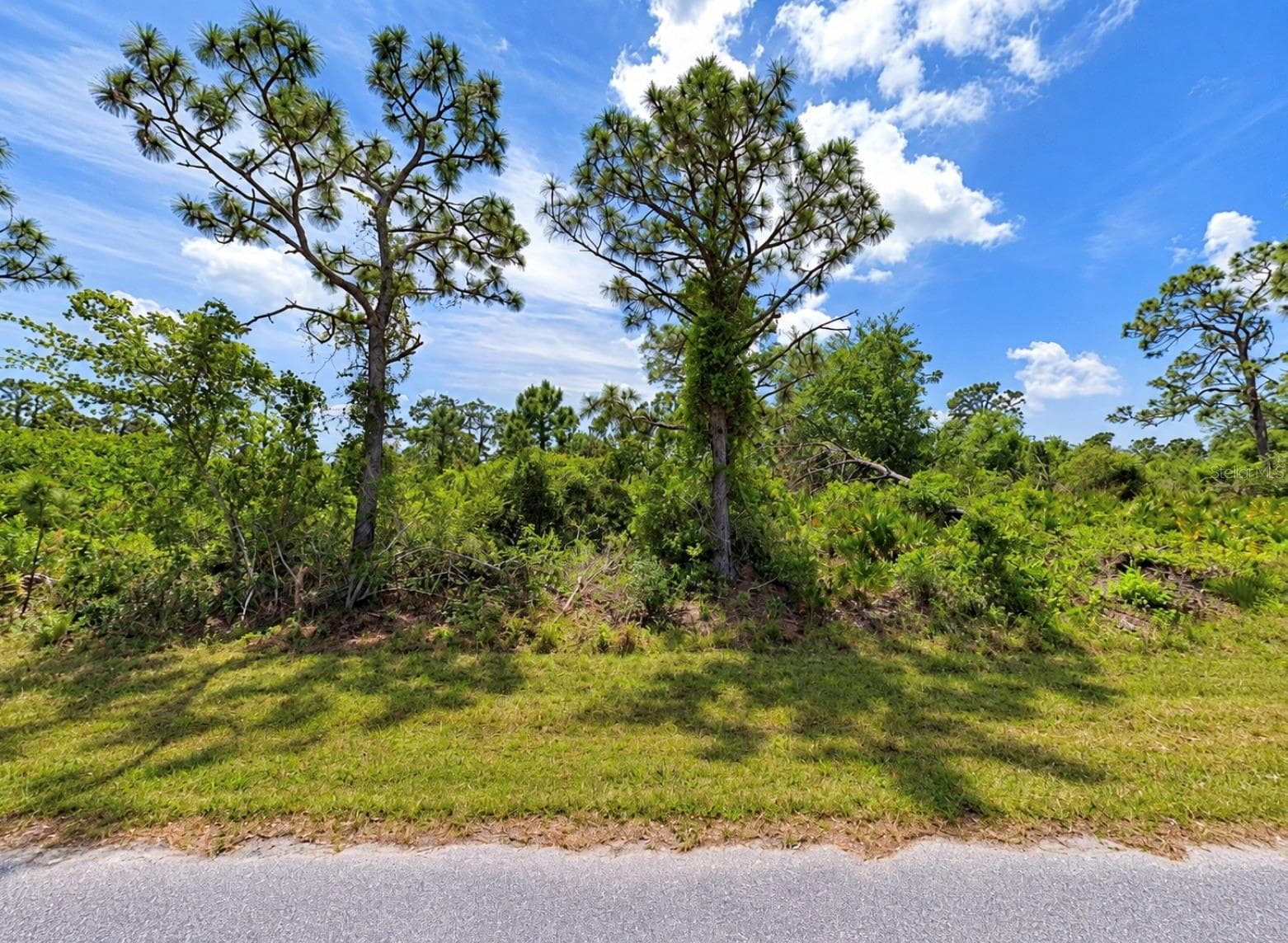 Land at 12205 KARNEY AVE, PORT CHARLOTTE, photo 2 of 2