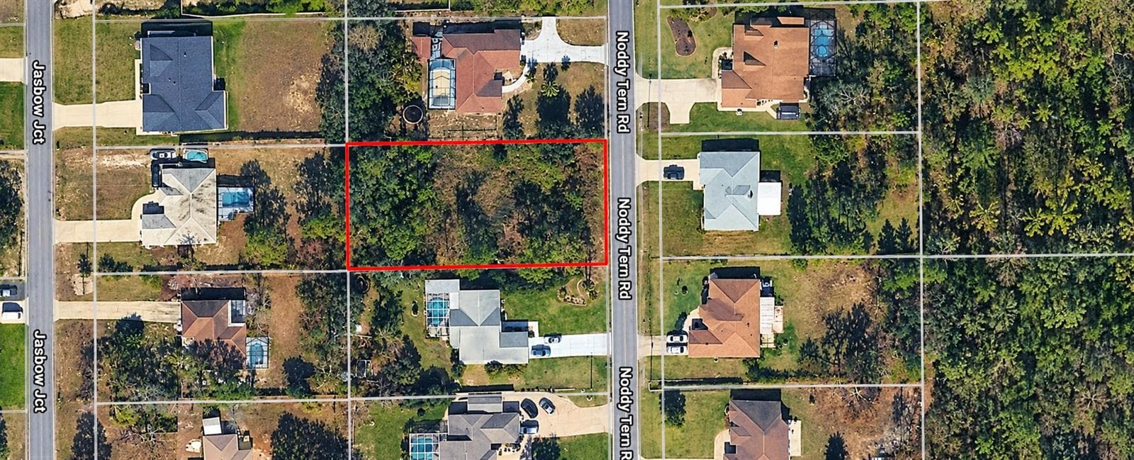 Land at 10533 NODDY TERN RD, WEEKI WACHEE, photo 2 of 2