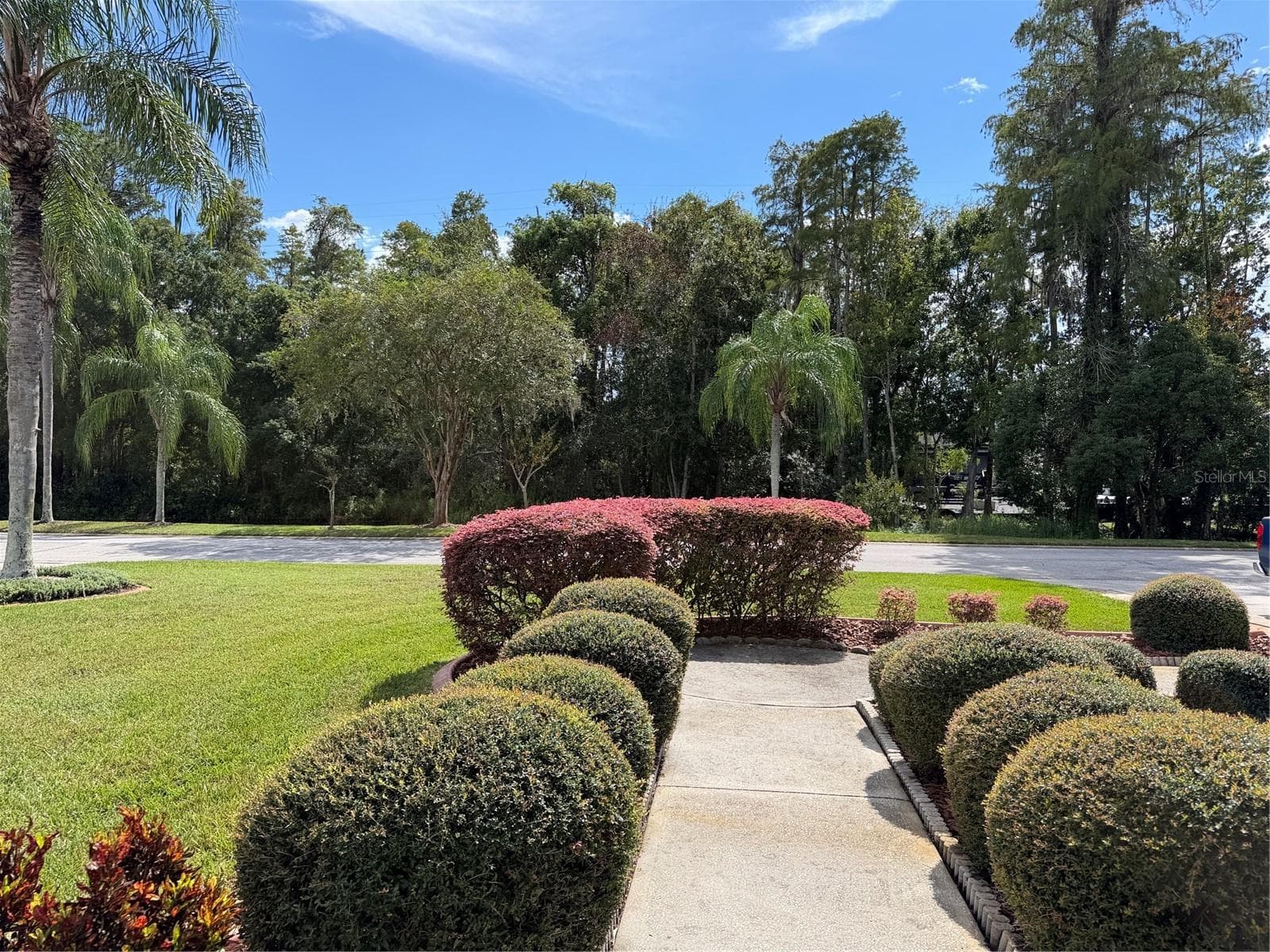 A view looking out the front door, a creek is across the street - 2311 OASIS DR, LAND O LAKES