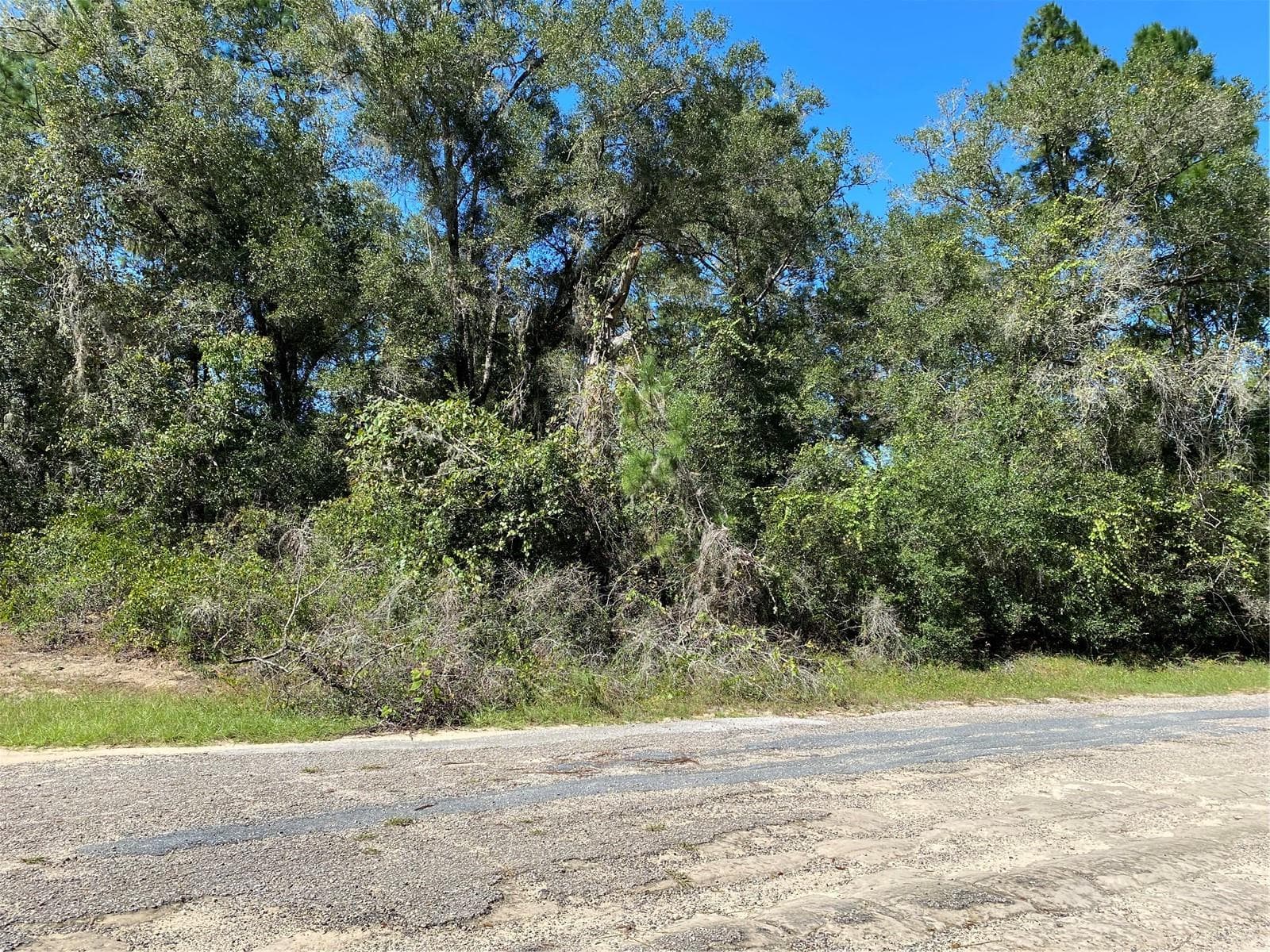 Land at 445 E PANAMA DR, CITRUS SPRINGS, photo 4 of 8