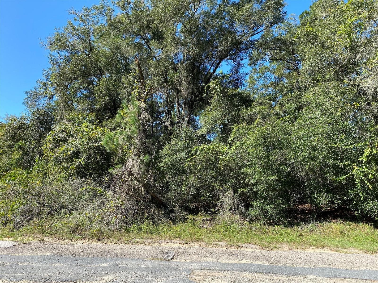 Land at 445 E PANAMA DR, CITRUS SPRINGS, photo 5 of 8