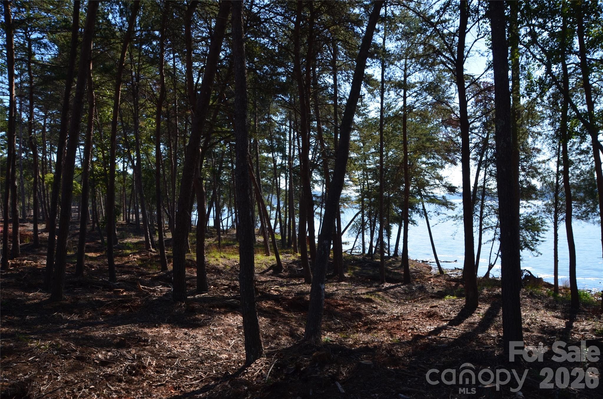 Lot at 31 Reserve Drive, New London, photo 6 of 35