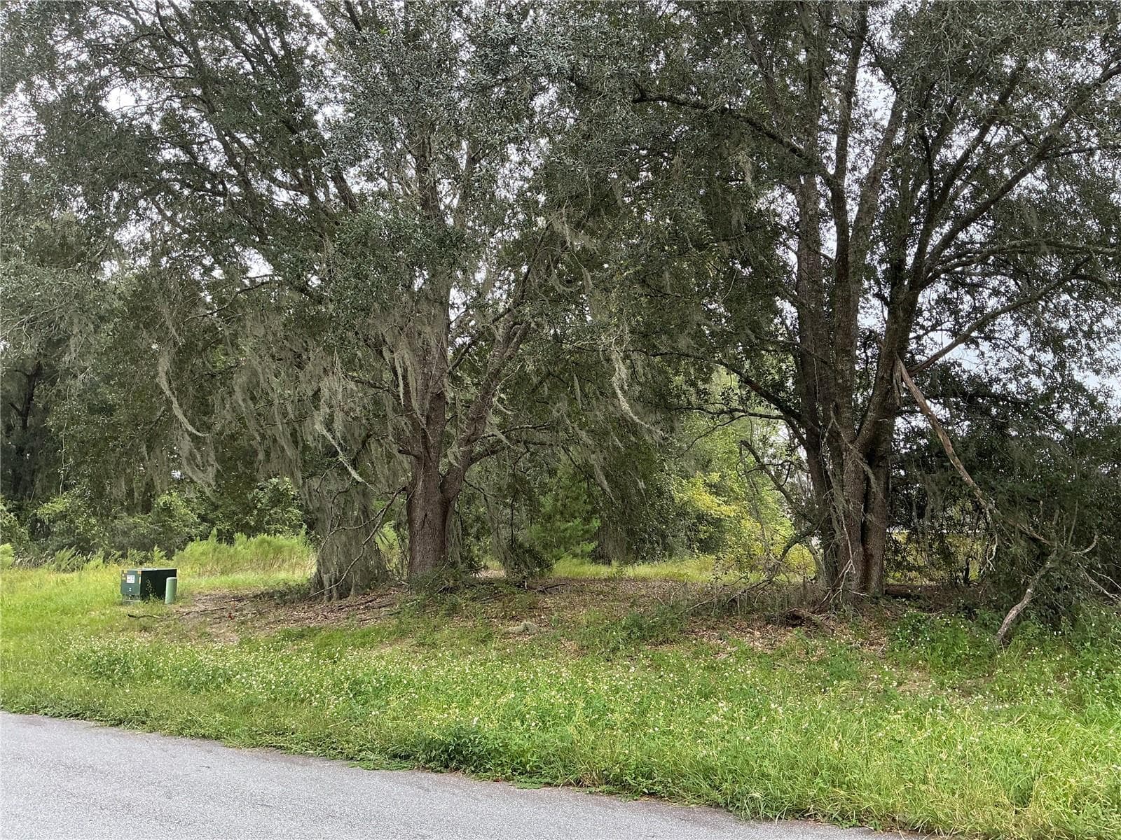 Land at 169TH ST, OCALA, photo 3 of 7