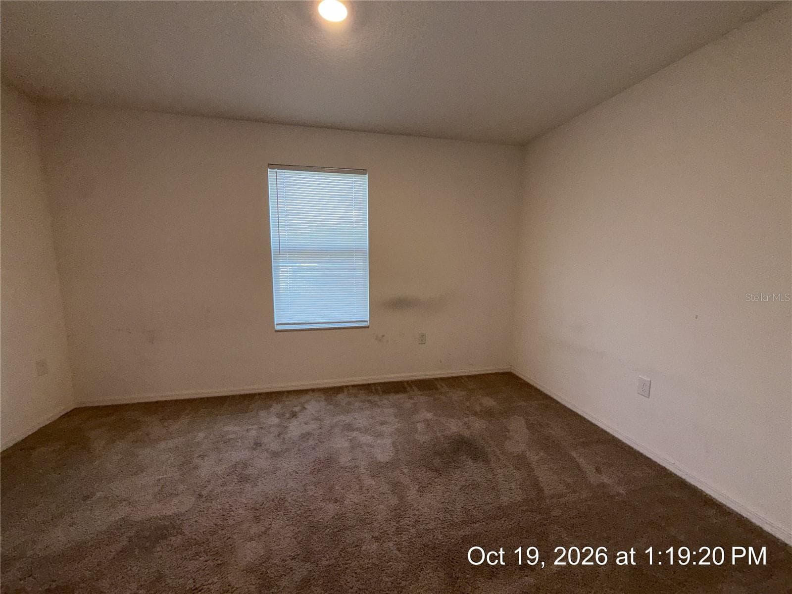 Single Family Residence at 14313 CORALBEAN CT, BROOKSVILLE, photo 17 of 20