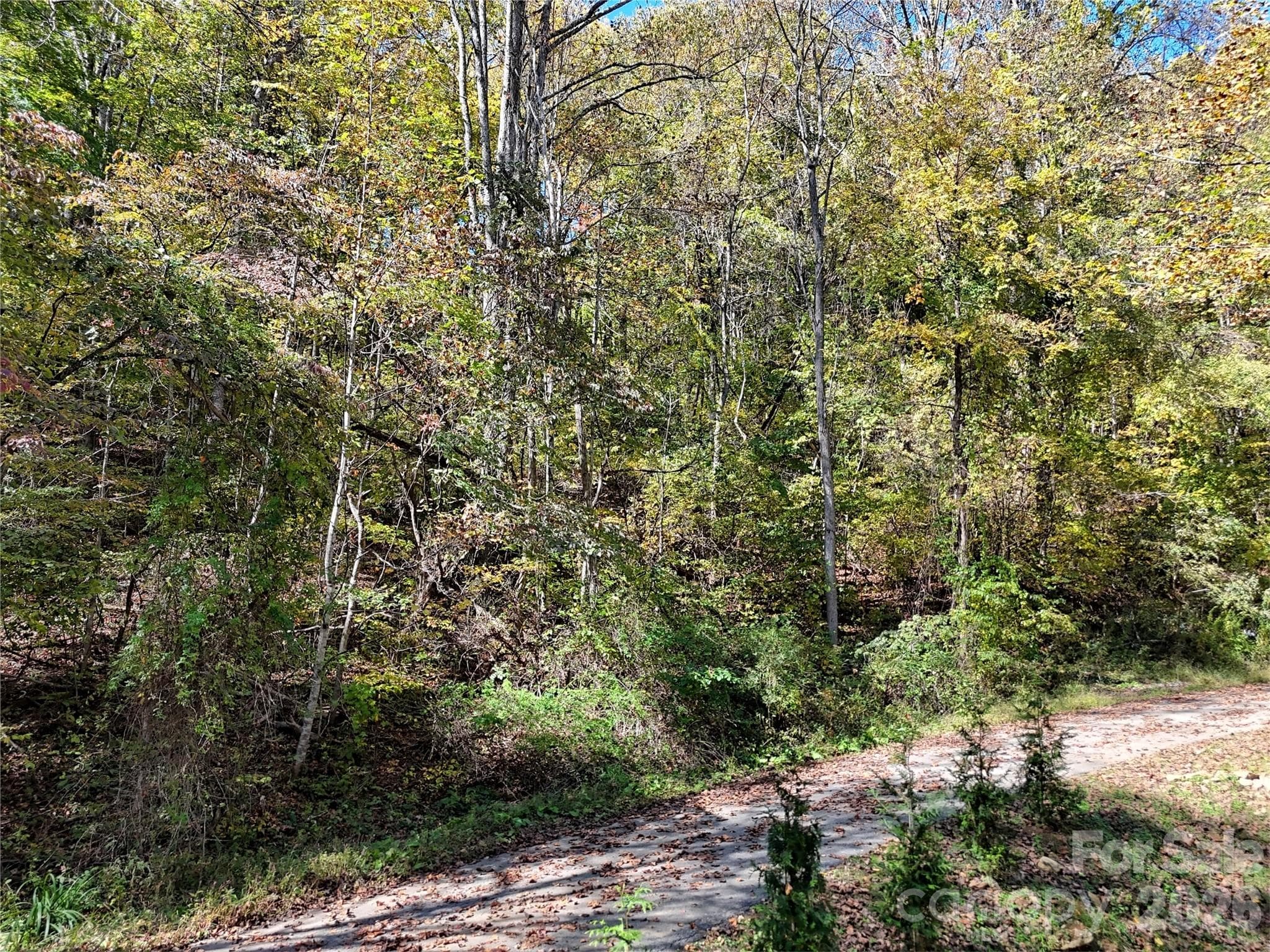 Lot at 205 Turn-A-Bout Court, Waynesville, photo 5 of 16