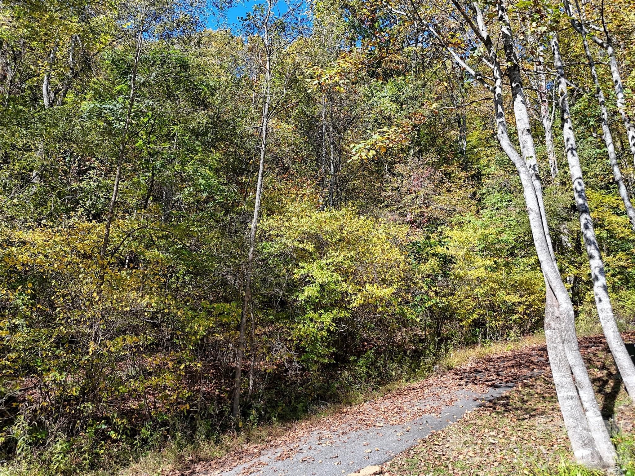 Lot at 205 Turn-A-Bout Court, Waynesville, photo 13 of 16